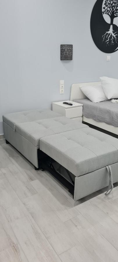 Cozy Apartment With Garden Near Town Center, Fully Renovated. Athens Luaran gambar
